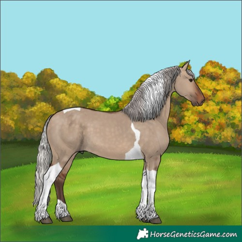 Horse Color:Silver Brown Dun Tobiano 