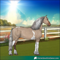 Horse Color:Silver Brown Dun Tobiano 