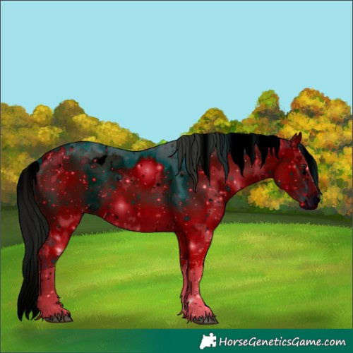 Horse Color:ERROR: UNKNOWN ANOMALY
