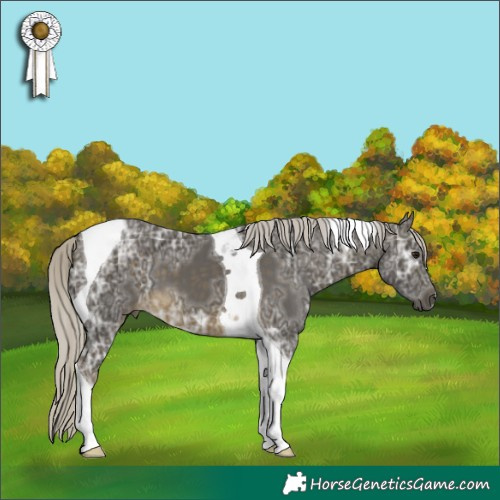 Horse Color:Silver Buckskin Ice Tobiano 