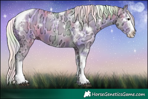 Horse Color:Nacre Watercolor White Spotted Silver Grullo Ice Splash Tobiano 