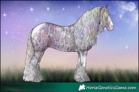 Horse Color:Nacre Watercolor White Spotted Silver Grullo Ice Splash Tobiano 