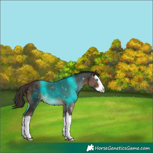 Horse Color:White Spotted Liver Chestnut Splash 