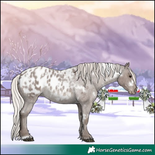 Horse Color:White Spotted Silver Blue Roan Blanket 