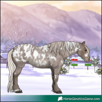 Horse Color:White Spotted Silver Blue Roan Appaloosa 