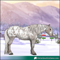Horse Color:White Spotted Silver Blue Roan Appaloosa 