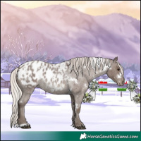 Horse Color:White Spotted Silver Blue Roan Appaloosa 