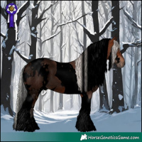 Horse Color:Void White Spotted Silver Brown Tobiano 