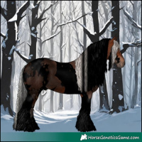 Horse Color:Void White Spotted Silver Brown Tobiano 