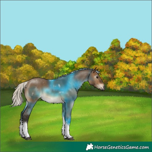 Horse Color:Gray White Spotted Silver Brown Dun Tobiano 