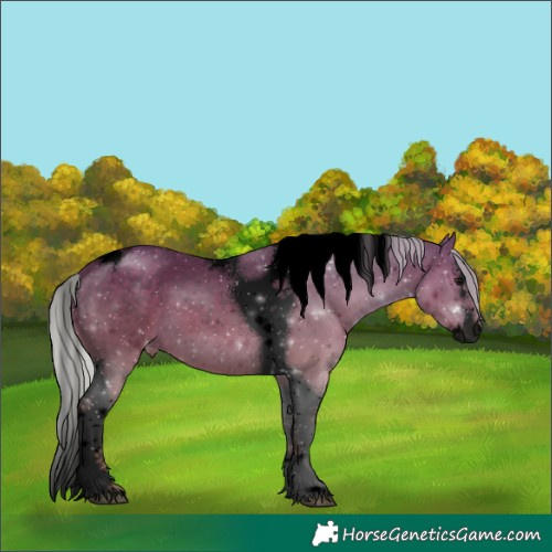 Horse Color:Void White Spotted Silver Black Splash Tobiano Varnish 