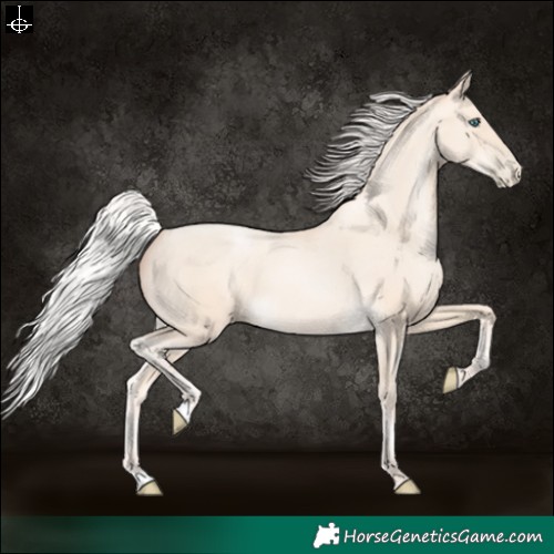Horse Color:Silver Amber Cream Champagne Pearl 