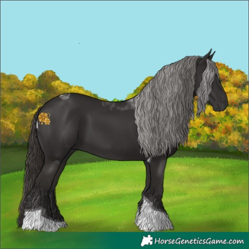 Horse Color:Liver Chestnut Tobiano