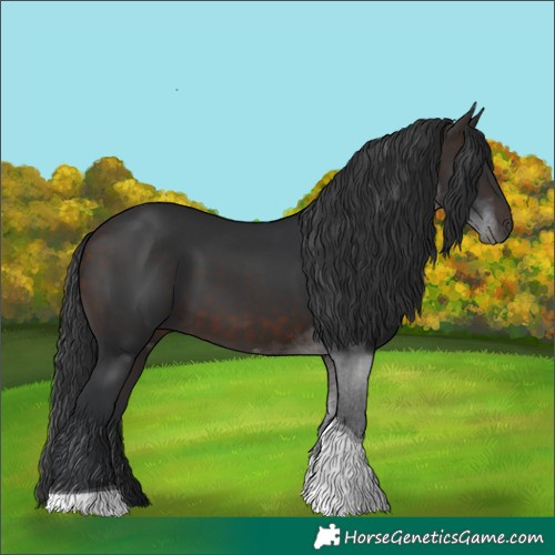 Horse Color:Brown Tobiano 