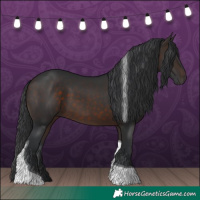 Horse Color:Brown Tobiano