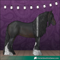 Horse Color:Brown Tobiano 