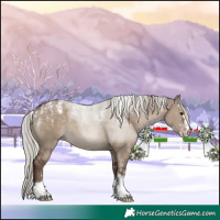 Horse Color:Powder White Silver Grullo 