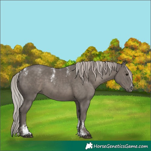 Horse Color:Powder White White Spotted Silver Black 