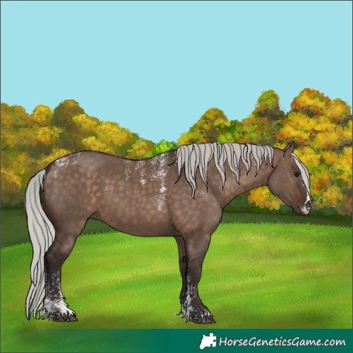 Horse Color:Powder White Silver Brown Dun 