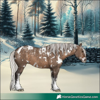Horse Color:Powder White White Spotted Silver Brown Dun