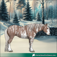 Horse Color:Powder White Silver Black Sabino 