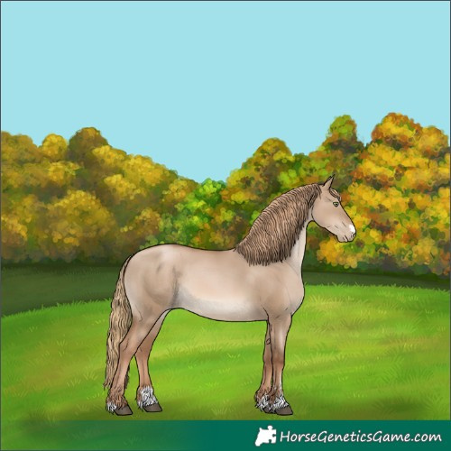 Horse Color:Liver Red Dun Pearl Rabicano 