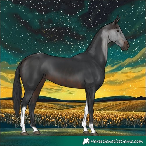 Horse Color:Brown Tobiano 