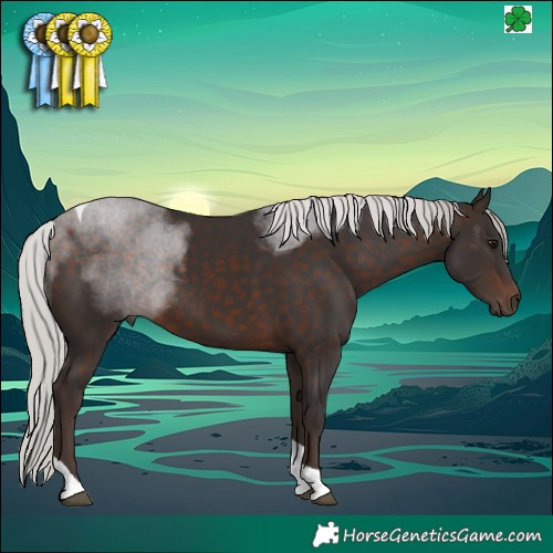 Horse Color:Silver Brown Tobiano 