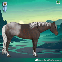 Horse Color:Silver Brown Tobiano