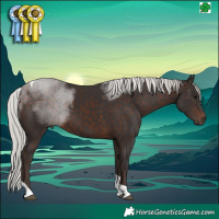 Horse Color:Silver Brown Tobiano 