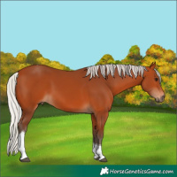 Horse Color:Silver Bay Tobiano 