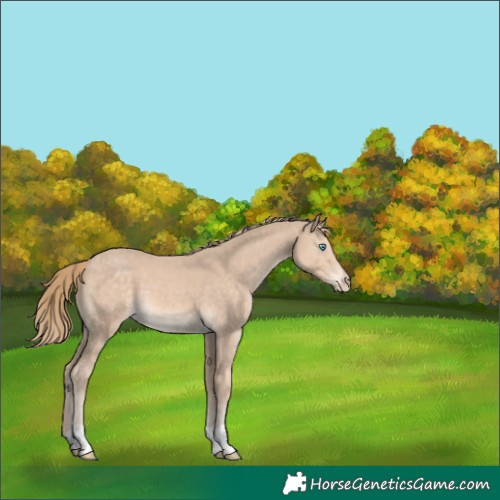 Horse Color:Perlino 