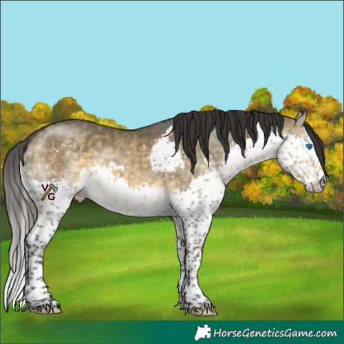 Horse Color:Unknown 