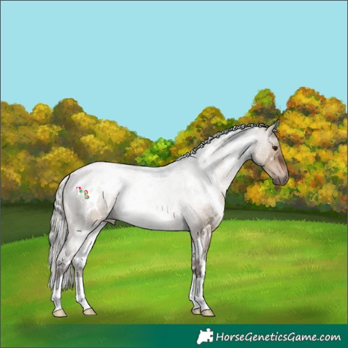 Horse Color:White Spotted Silver Brown Dun 