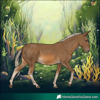 Horse Color:Chocolate Palomino  and Chocolate Palomino 