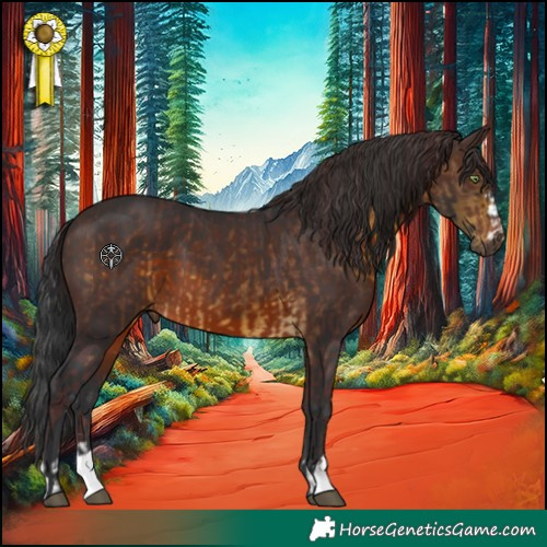 Horse Color:Chocolate Buckskin  and Brown 