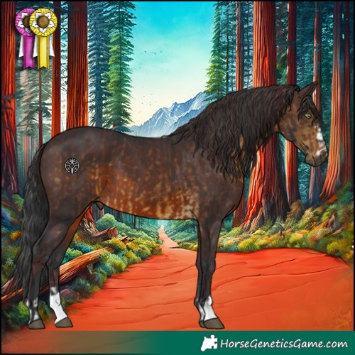 Horse Color:Chocolate Buckskin  and Brown 