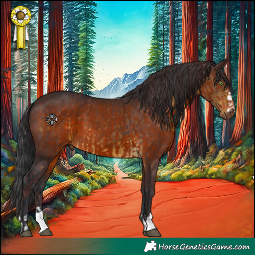 Horse Color:Chocolate Buckskin  and Brown 