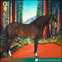 Horse Color:Chocolate Buckskin and Brown