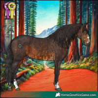 Horse Color:Chocolate Buckskin  and Brown 