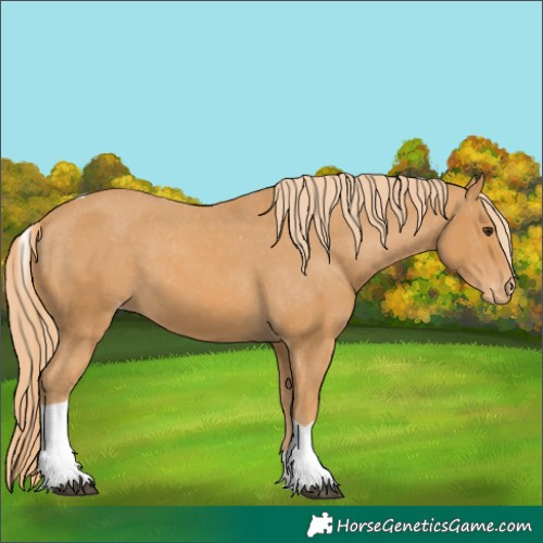 Horse Color:Chestnut Tobiano Varnish