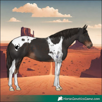 Horse Color:Liver Chestnut Tobiano 