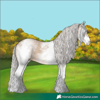 Horse Color:White Spotted Silver Brown Dun 