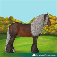 Horse Color:Silver Brown
