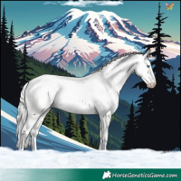 Horse Color:Cremello Dun