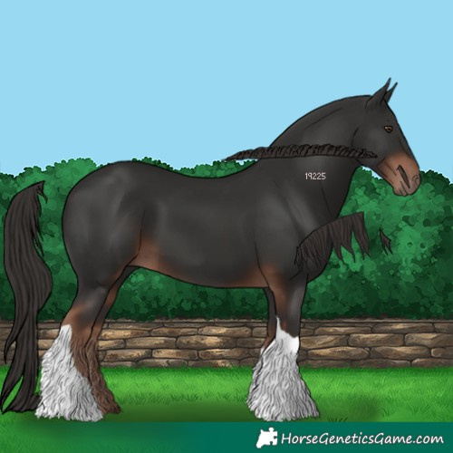 Horse Color:Liver Chestnut Tobiano 