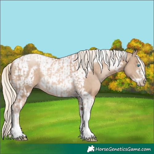 Horse Color:Chocolate Palomino Pearl Tobiano Frame and Chocolate Palomino Pearl Tobiano Frame