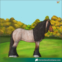 Horse Color:Bay Roan