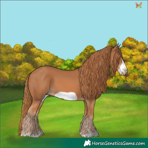 Horse Color:Chestnut Frame 