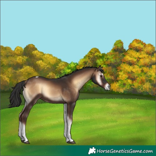 Horse Color:Liver Red Onyx Tobiano 